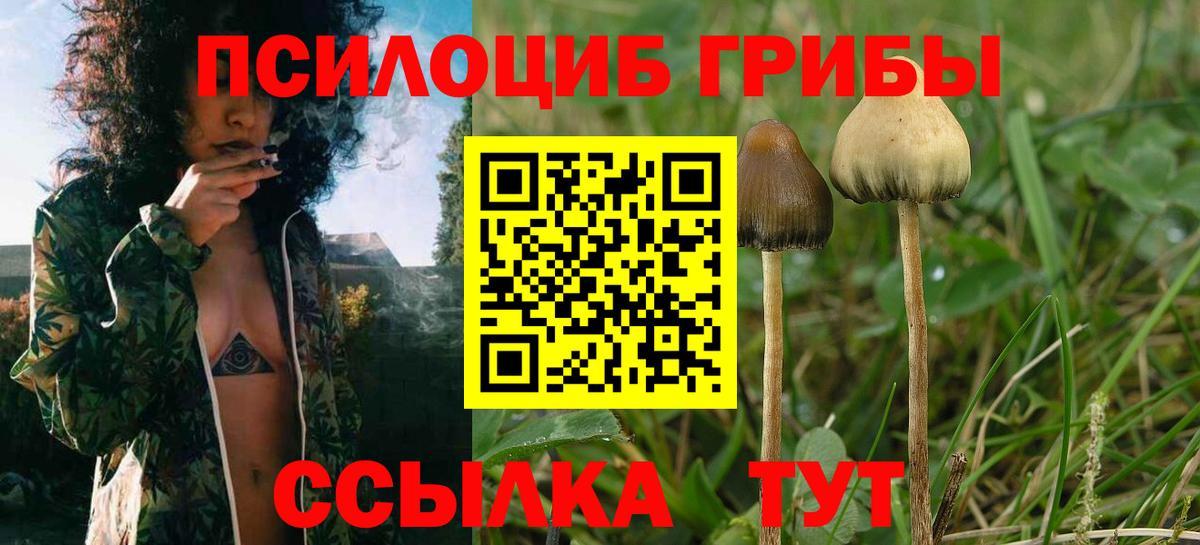 Грязи  Галлюциногенные грибы Magic Shrooms  Вход с VPN  Галлюциногенные грибы ЛСД 